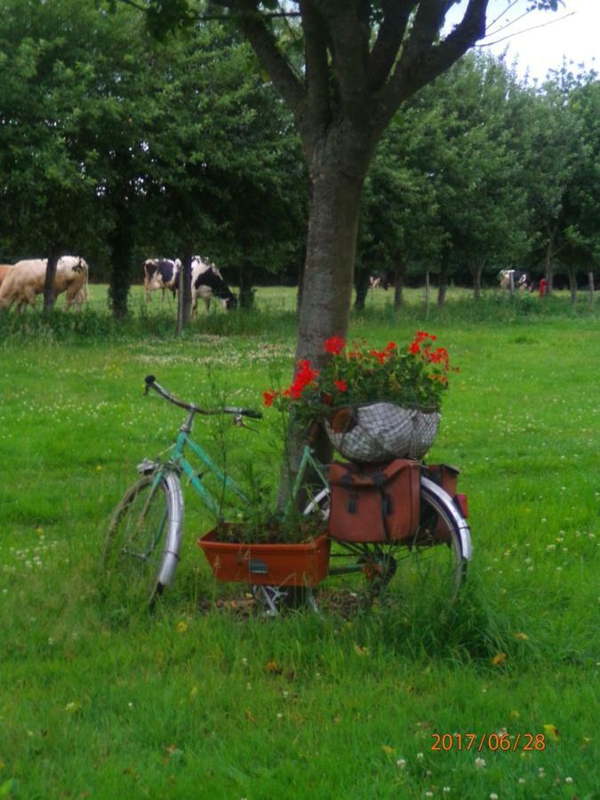 Camping Du Creulet Crouay 外观 照片